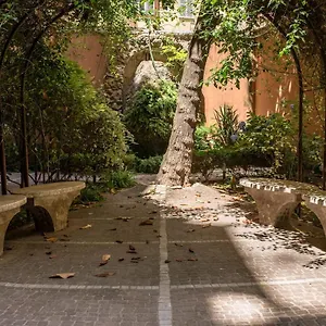 Amedeus Ottaviano Vaticano Casa vacanze Roma